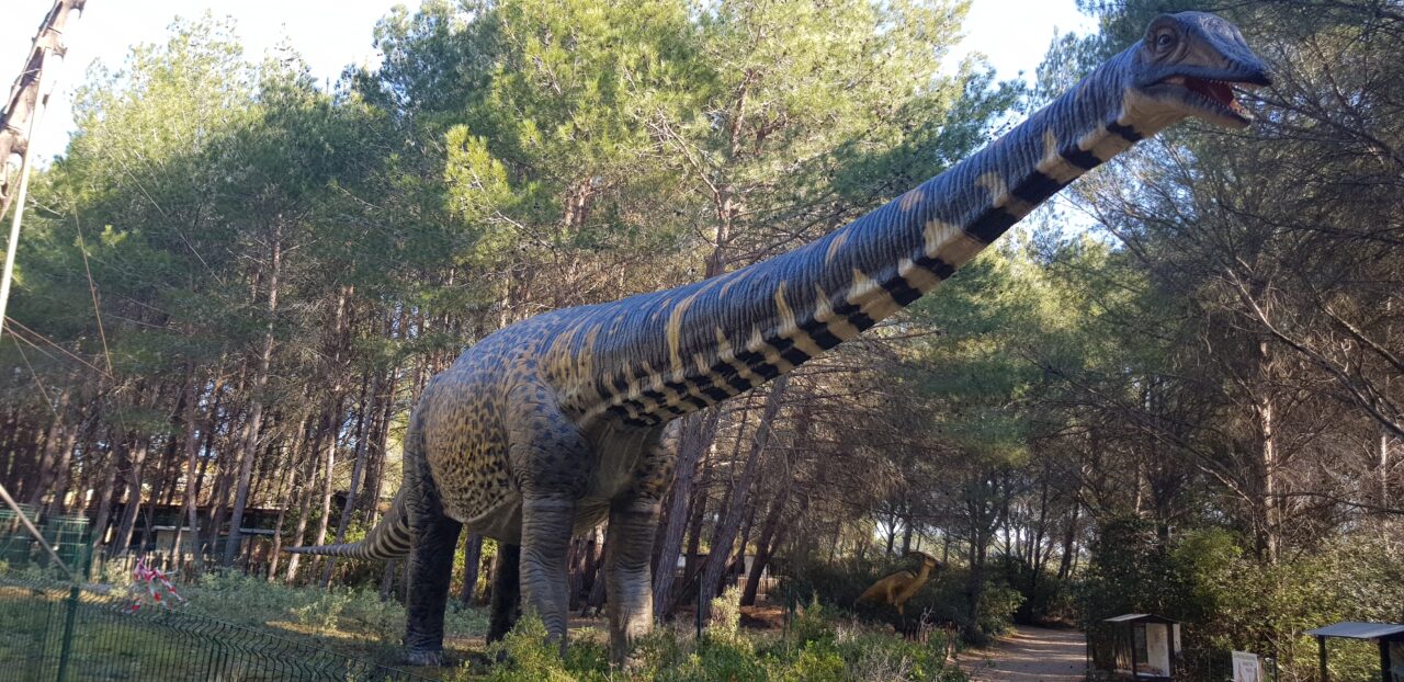 Galerie Musée des Dinosaures Mèze