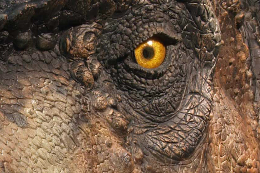 DÉTAILS DE LA TÊTE DE TYRANNOSAURUS-REX tete tyrannosaurus-rex
