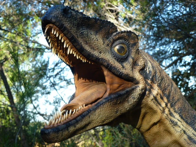 DROMAEOSAURE dinosaure reptile coureur